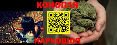 амф Кимры