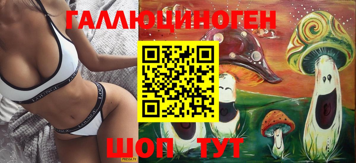 Галлюциногенные грибы Psilocybine cubensis  Вход с VPN  Дербент 